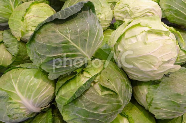 スーパーのキャベツ売り場　夏 キャベツ,売り場,スーパーの写真素材