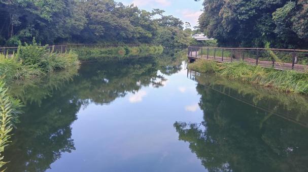 水面 水面 水面,公園,敷地の写真素材