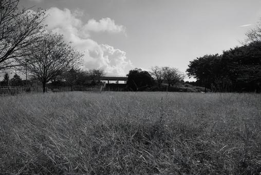 公園の風景 公園の風景 公園,広場,晴れの写真素材