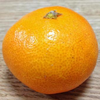 みかんのアップ みかん,柑橘,オレンジの写真素材