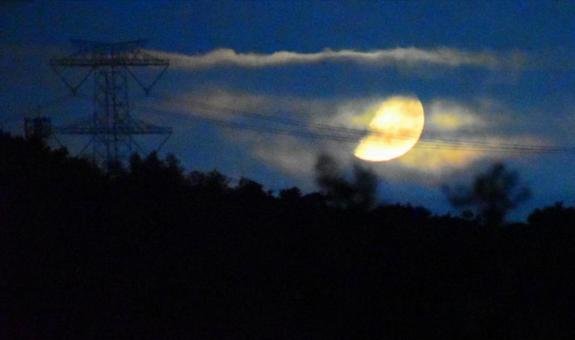 幻想的な夜 幻想的な夜 月,半月,月明かりの写真素材