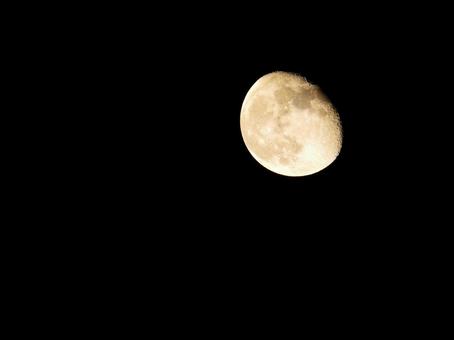 夜空に浮かぶ月 夜空に浮かぶ月 月,天体,夜空の写真素材