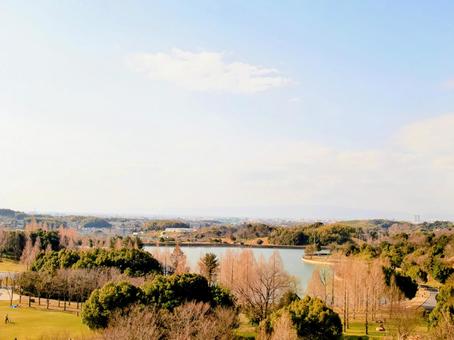 公園 公園の写真