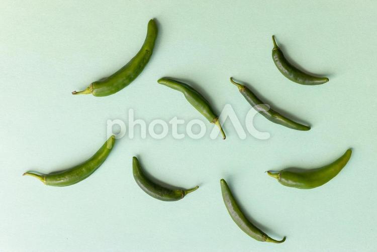 散乱してる青唐辛子 青唐辛子,スパイス,料理素材の写真素材