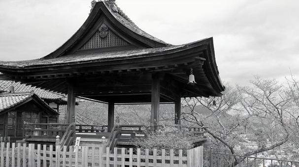 初秋の三井寺 観月舞台 初秋の三井寺 観月舞台 三井寺,観月舞台,檜皮葺屋根の写真素材