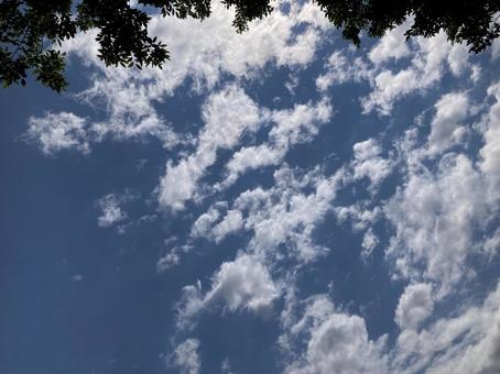 6月の空の写真