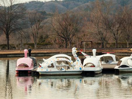 スワンボートの写真