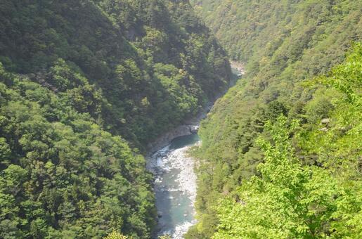 新緑の深いV字渓谷と清流 渓谷,峡谷,谷の写真素材