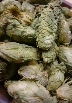 ホップ ビール ホップ ビール ホップ,ビール,背景の写真素材