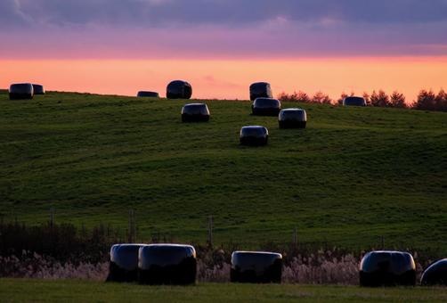 牧草地を覆う、たそがれ時の静寂 夕焼け,夕暮れ,日没の写真素材