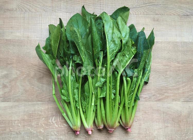 ほうれん草① ほうれん草,新鮮,野菜の写真素材