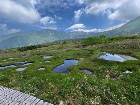 弥陀ヶ原にあるガキの田 弥陀ヶ原にあるガキの田の写真