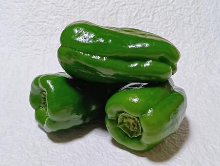 ピーマン ピーマン,野菜,食材の写真素材