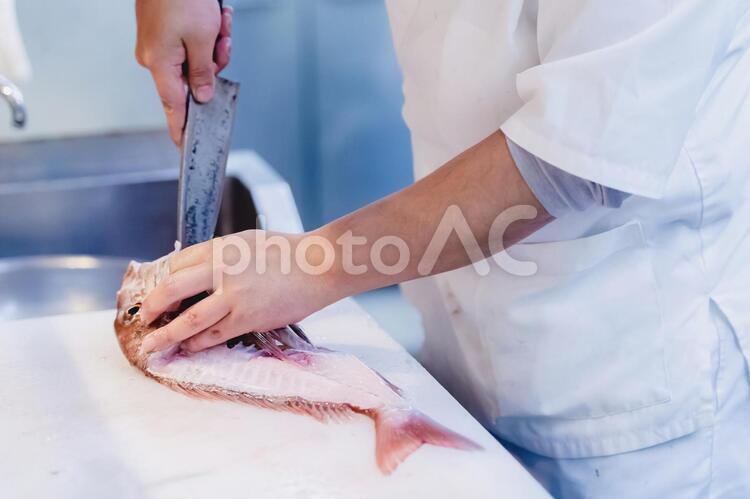 魚を捌いて調理している様子 魚,調理,料理の写真素材