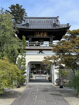 法雲山仙林寺 法雲山,仙林寺,山門の写真素材