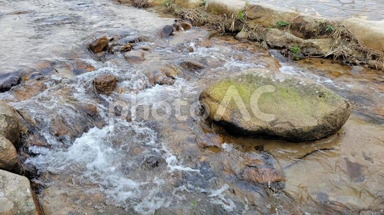 川の流れ 小川,流れ,水流の写真素材