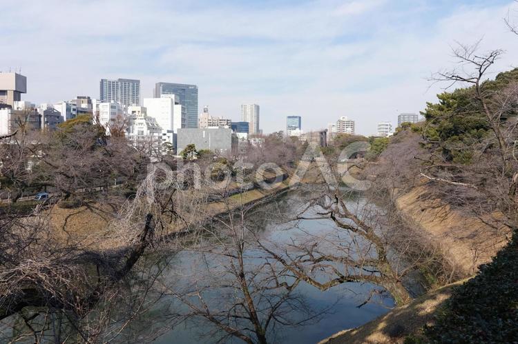冬の千鳥ヶ淵 千鳥ヶ淵,九段下,東京の写真素材