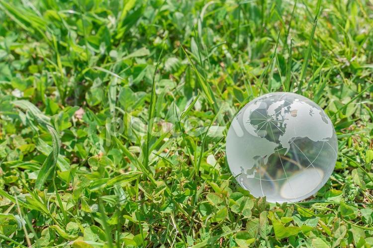 芝生の上にあるガラスの地球 地球,地球儀,エコの写真素材