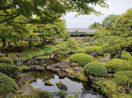 夏の日本庭園 夏の日本庭園 庭園,由志園,夏の写真素材