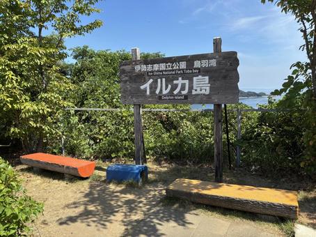 イルカ島へ観光 イルカ島,イルカ,鳥羽の写真素材
