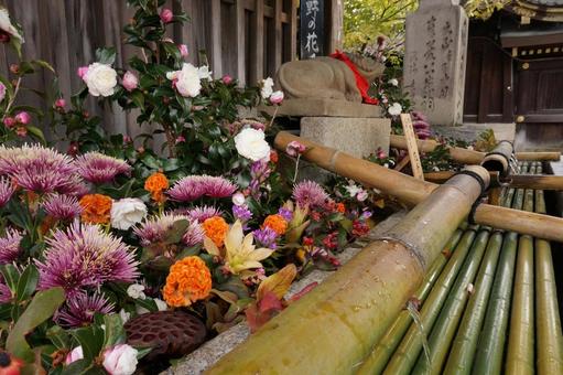 美しい花が飾られた竹製の手水舎 美しい花が飾られた竹製の手水舎 京都,北野天満宮,花の写真素材