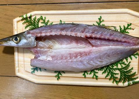 さより　魚　干物　サヨリの開き サヨリ,さより,魚の写真素材