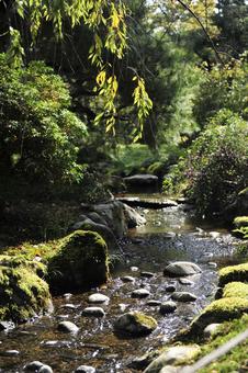 秋の兼六園の写真