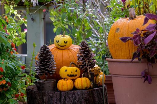 カボチャのお化け カボチャのお化けの写真
