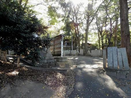 【風景写真】因島 重井八幡神社の風景 重井八幡神社,神社,寺社仏閣の写真素材