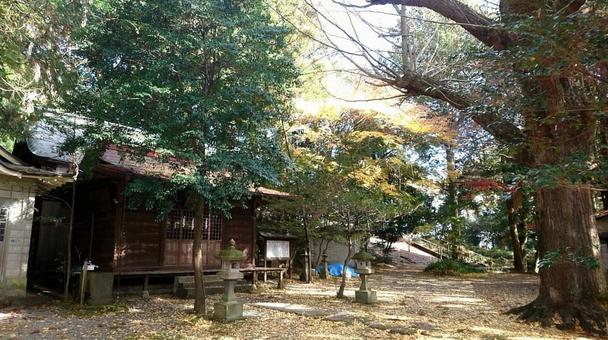 神社の境内 拝殿,神社,パワースポットの写真素材