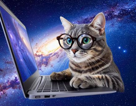 宇宙で仕事をする猫 宇宙で仕事をする猫の写真