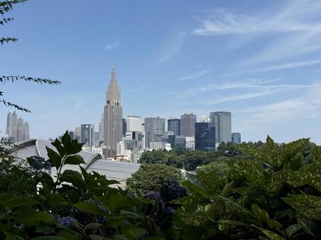 上から見た東京　新宿区の摩天楼 ビル街,新宿区,昼間の写真素材