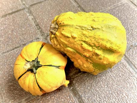 おもちゃみたいなカボチャ 03 パンプキン,かぼちゃ,野菜の写真素材