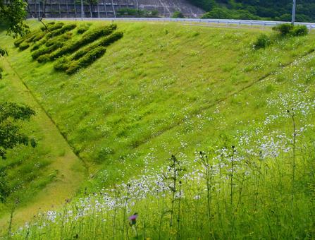 朝倉ダム-16 朝倉ダム-16の写真