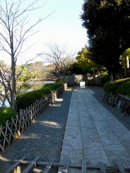 11月の鶴岡八幡宮・休園中のぼたん園 11月の鶴岡八幡宮・休園中のぼたん園の写真