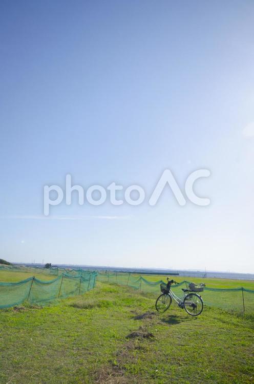 幕張海浜公園 幕張海浜公園,海,幕張新都心の写真素材