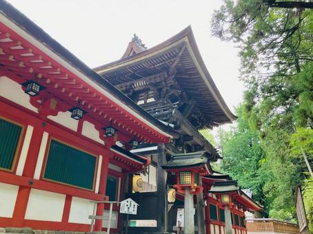 石上神宮 楼門 石上神宮 楼門の写真