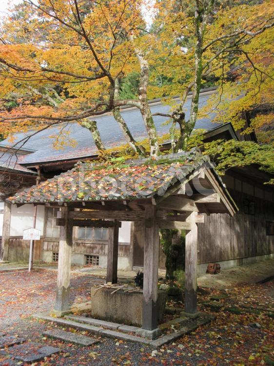 比叡山の建造物 比叡山延暦寺,延暦寺,叡山の写真素材
