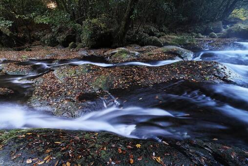 菊池渓谷 菊池渓谷,菊池川,光芒の写真素材