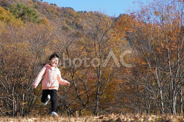 公園で走る子供（秋）11 走る子供,公園,屋外の写真素材