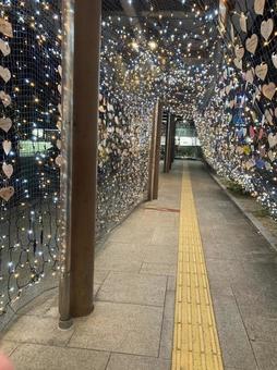 イルミネーション イルミネーション,ライトアップ,クリスマスの写真素材