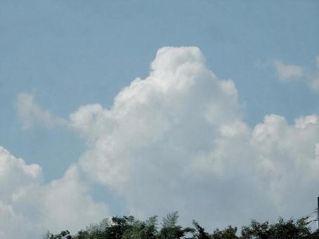 【風景写真】夏空 【風景写真】夏空の写真