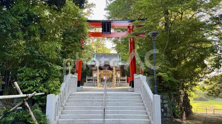 白笹稲荷神社 白笹稲荷神社,神社,鳥居の写真素材
