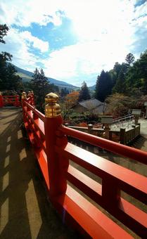 呑山観音寺 福岡県,呑山観音寺,紅葉の写真素材