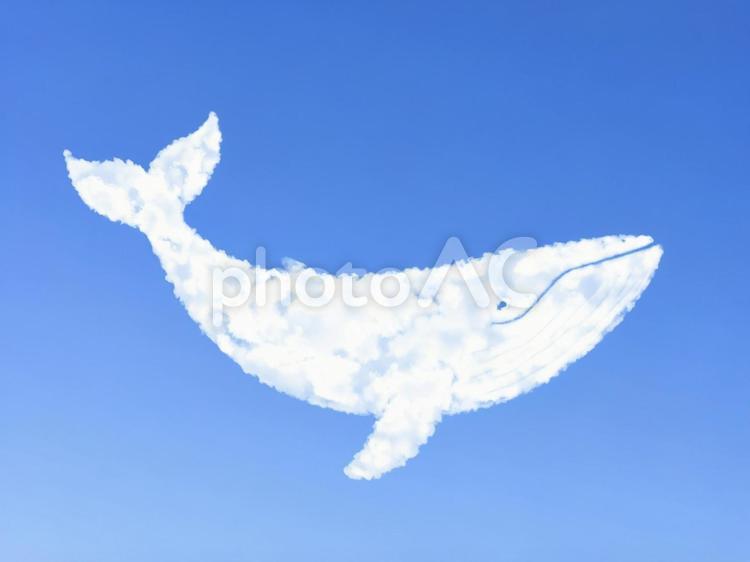 クジラ型の雲  AI生成画像　　 雲,クジラ,青空の写真素材