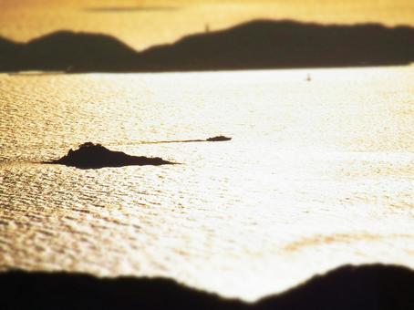 夕暮れの海 夕暮れの海の写真