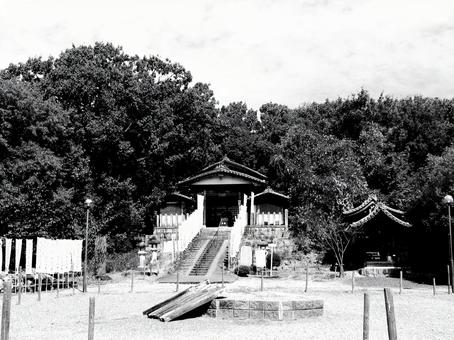 愛知県-興正寺-大日堂と鎮守社 愛知県-興正寺-大日堂と鎮守社の写真