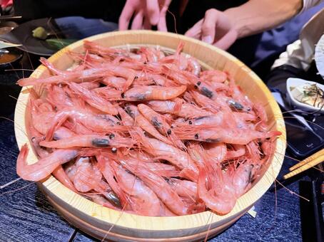 生えび 海老,えび,エビの写真素材