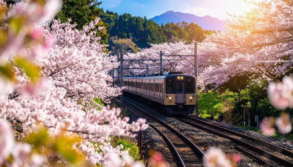 線路 鉄道イメージ 線路 鉄道イメージの写真