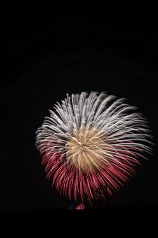 夜空に咲く大輪の打ち上げ花火 花火,打ち上げ花火,夜空の写真素材